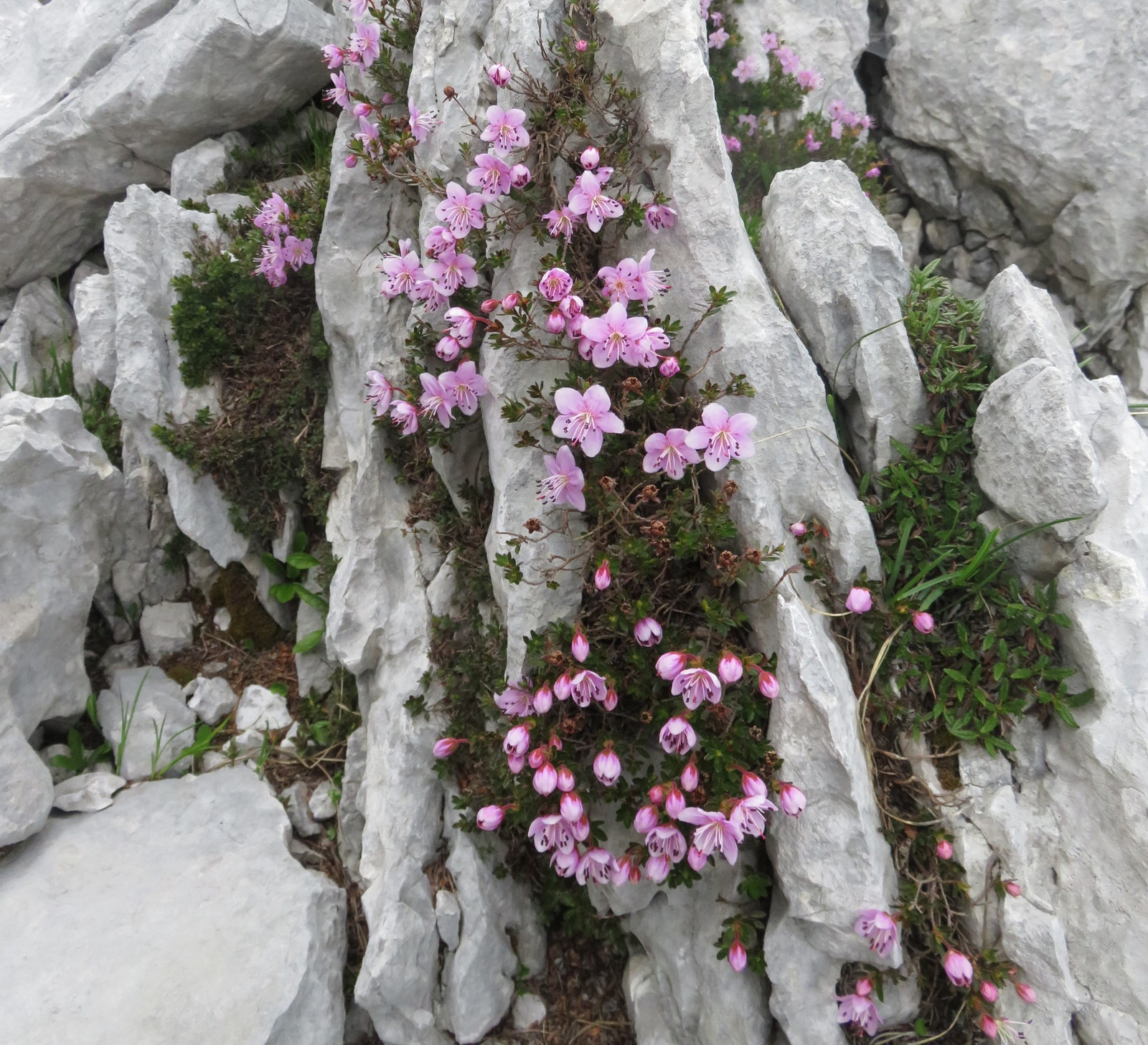 2 day triglav seven lakes valley hike 08