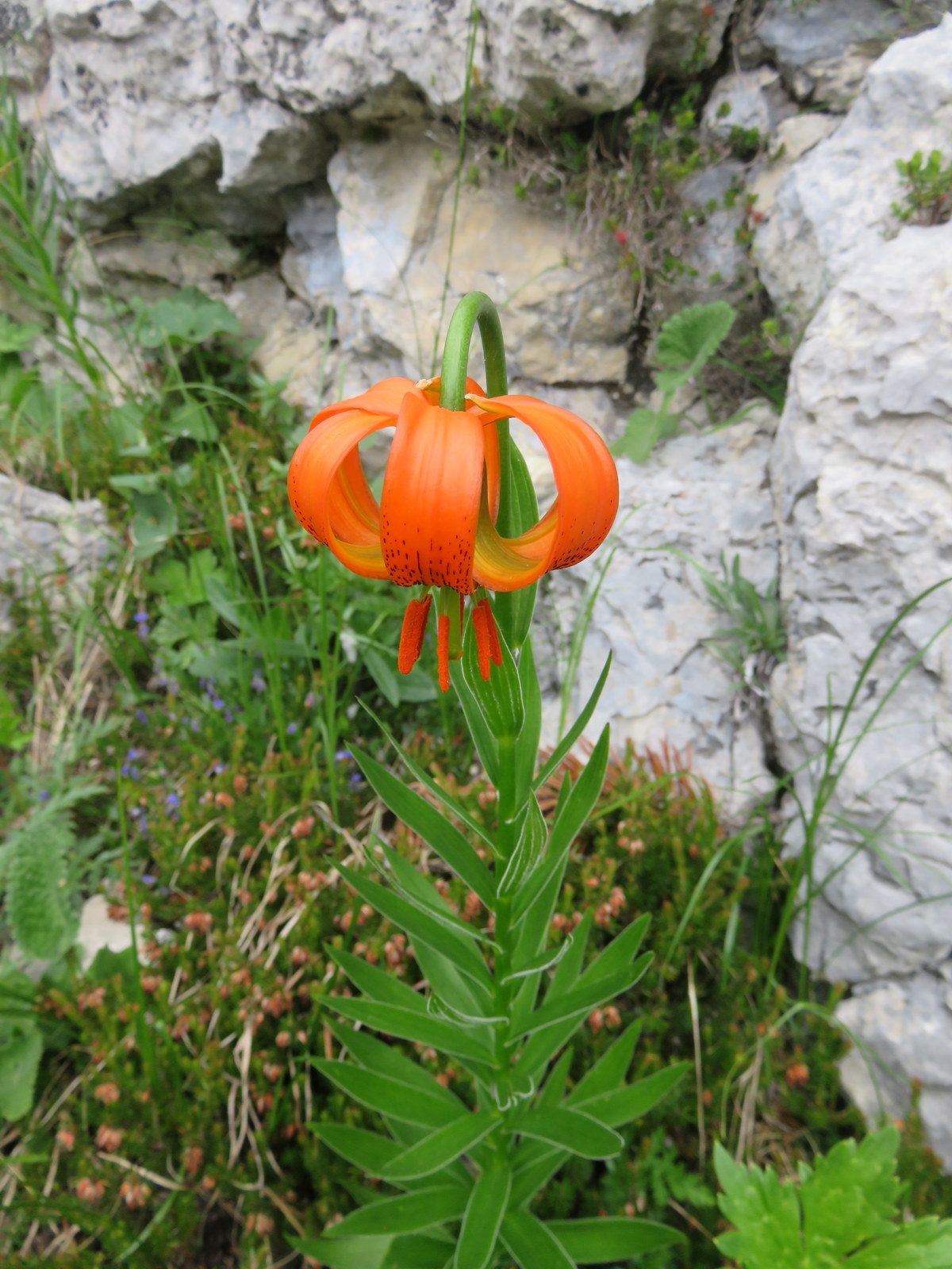 2 day triglav seven lakes valley hike 21