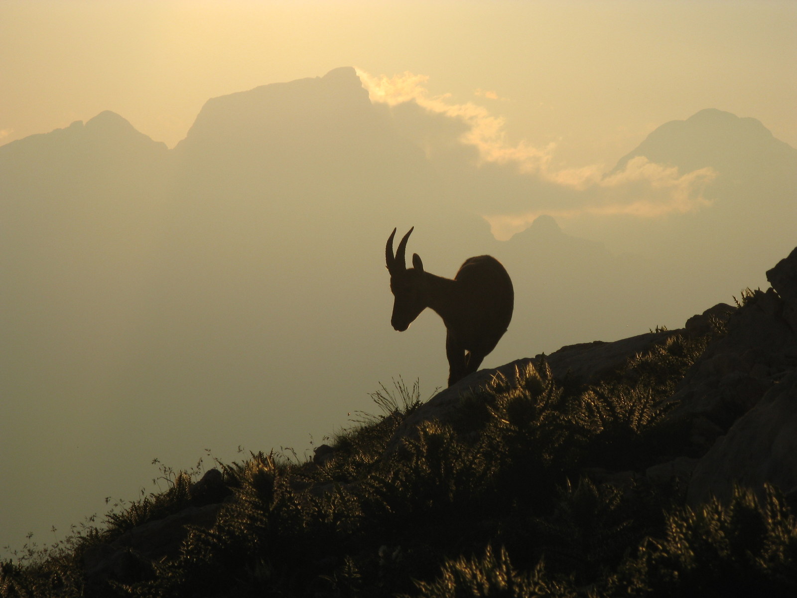 2 day triglav seven lakes valley hike 22