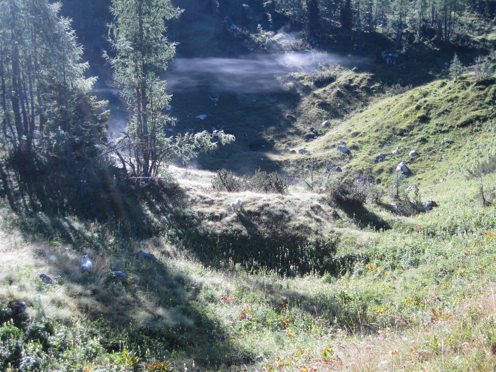 hidden valley beneath green peak 11