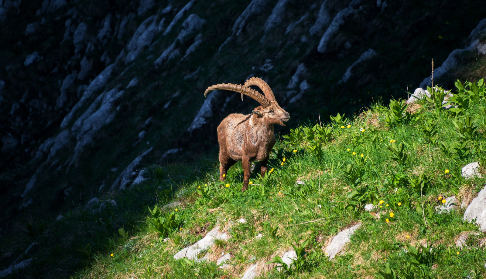 julian alps triglav national park 14