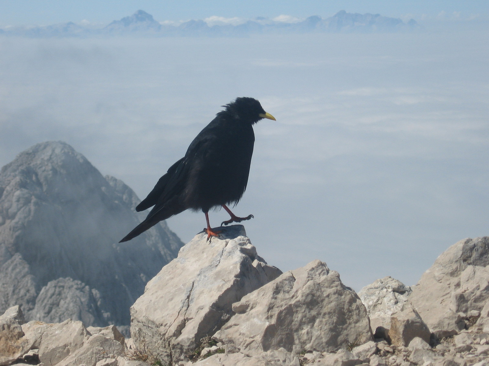 The Hidden Heart of the Julian Alps the hidden heart of the julian alps 05