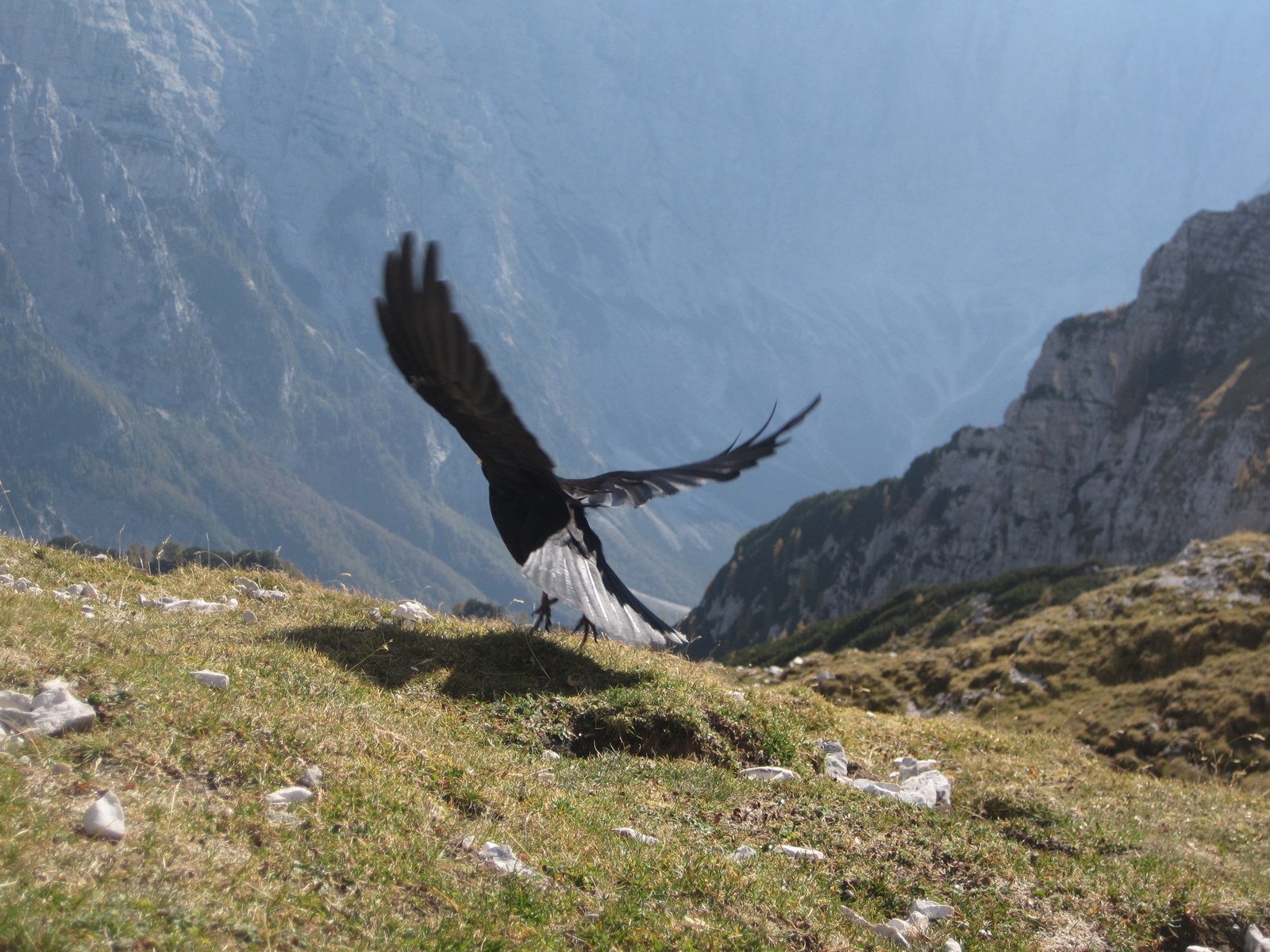 The Hidden Heart of the Julian Alps the hidden heart of the julian alps 19