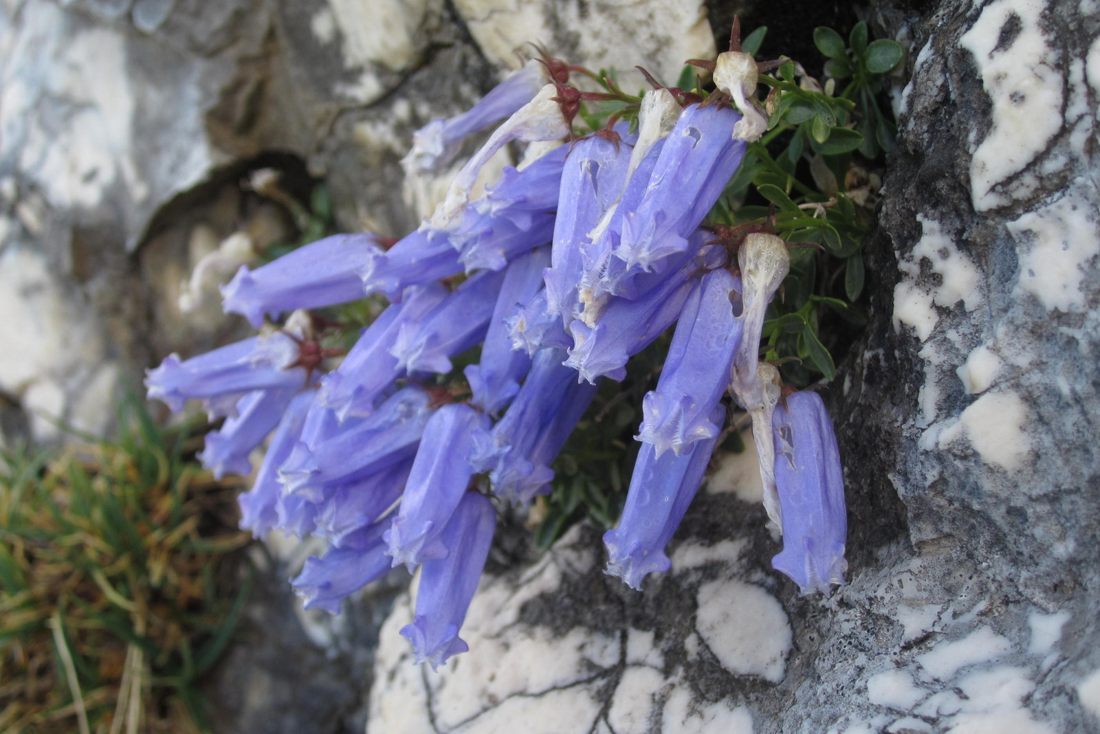 triglav national park–julian alps 14