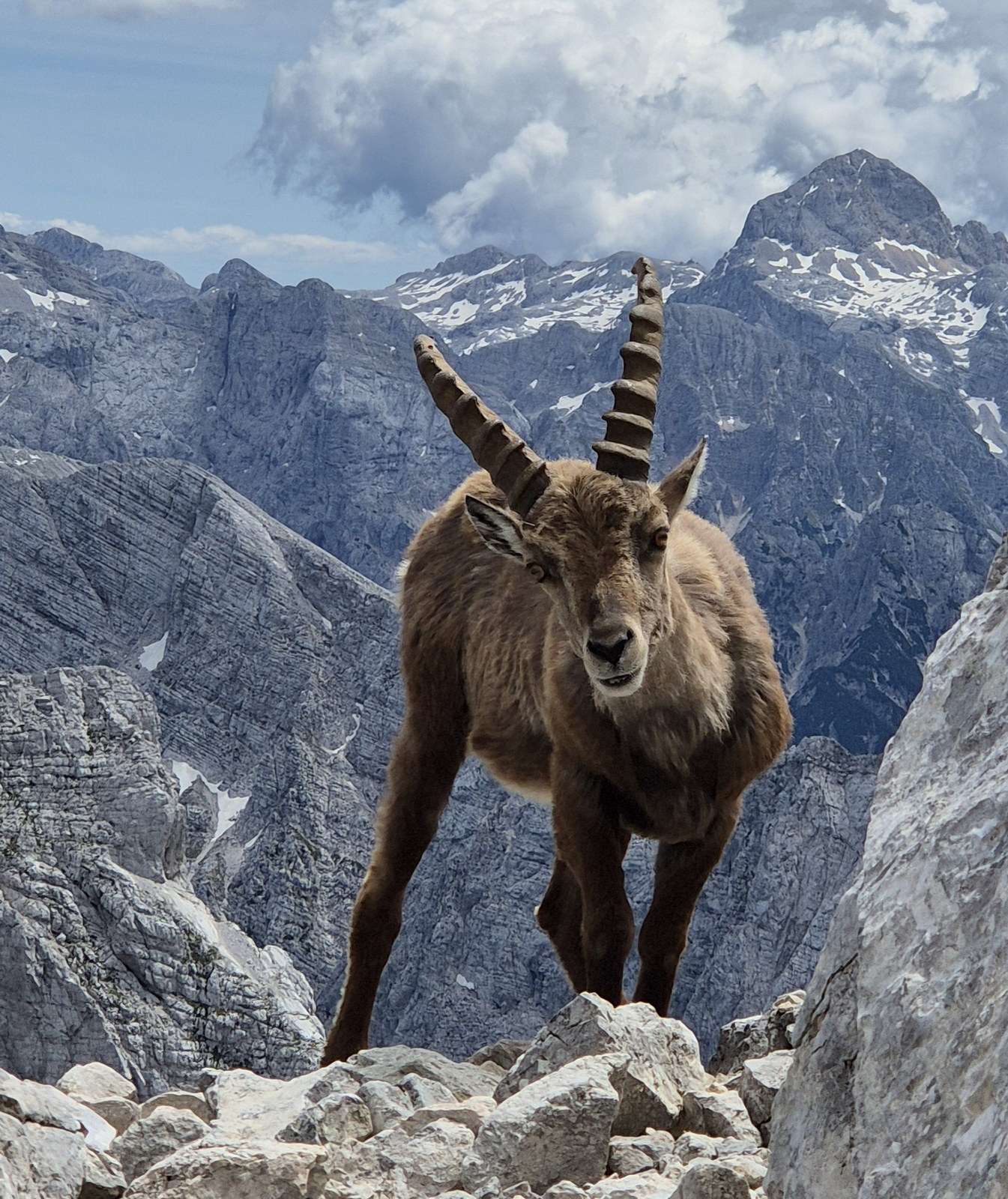 triglav national park–julian alps 29
