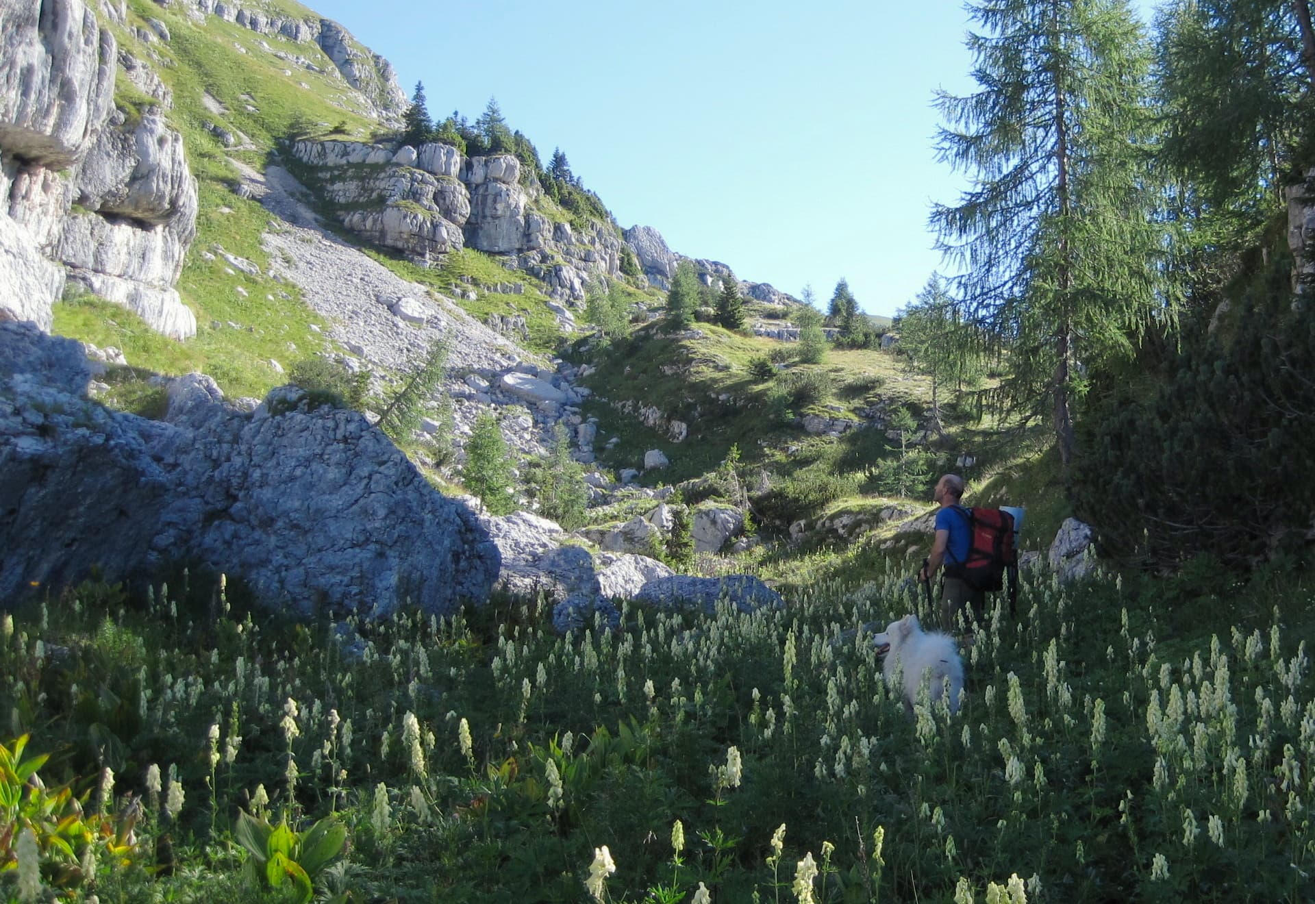 hidden valley beneath green peak 22hero
